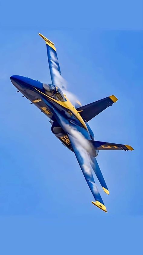 Blue Angels Wallpaper, Blue Angels Air Show, Jet Aviation, Us Navy Blue Angels, Royal Family Fashion, Angel Flight, Jet Fighter Pilot, Go Navy, Air Fighter