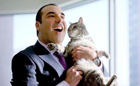 Suits 09 Louis Litt, Suits Tv Series, Suits Quotes, Suits Tv, Suits Tv Shows, Suits Series, Gabriel Macht, Tom Ford Suit, Harvey Specter