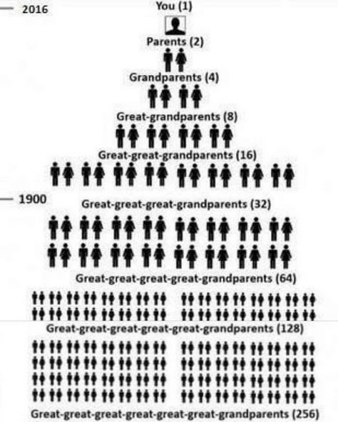 Number of Ancestors over the Generations | FamilyTree.com Teacher Aesthetic, Family Tree Genealogy, Great Grandparents, Family Theme, Step Parenting, Science And Nature, Family Time, Family History, Family Tree