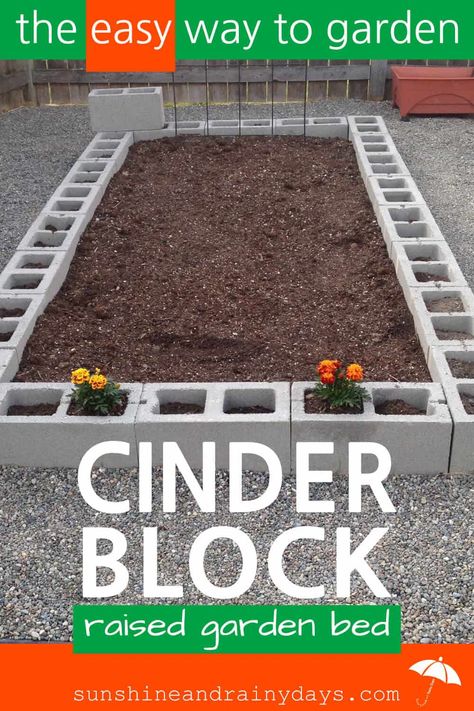 There's nothing like growing your own food! A Cinder Block Raised Garden Bed is easy to build and will give you years of use! Need a tomato? Go pick one! Green beans for dinner? You got that too! Cinder Block Raised Garden Bed | Cinder Block Garden | Raised Garden Beds | #raisedgardenbeds #raisedgarden #cinderblocks #SARD via @Sunshine and Rainy Days Cinder Block Raised Garden Bed, Raised Garden Beds Cinder Blocks, Cinder Block Raised Garden, Beans For Dinner, Growing Your Own Food, Cinder Block Garden, Diy Garden Bed, Cinder Blocks, Building A Raised Garden