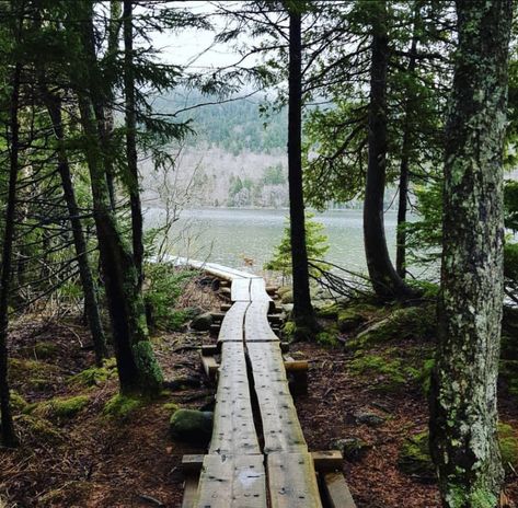 Maine Aesthetic, Maine Living, Bar Harbor Maine, Mount Desert Island, Park Ranger, Peaceful Places, Ocean City, Outdoor Adventure, East Coast