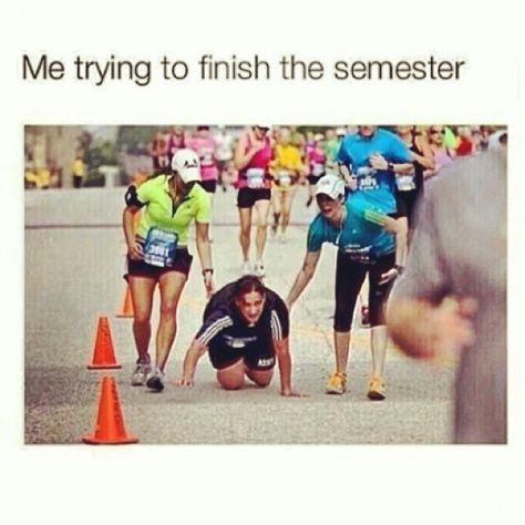 TFYMW You're just trying to finish the semester Funny Study Quotes, School Memes, College Humor, Grad School, School Humor, College Life, Public Relations, Funny Cute, I Laughed