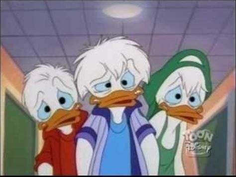 Quack Pack (Huey, Dewey and Louie) Quack Pack, Huey Dewey And Louie, Louie Duck, Dark Wings, Disney Duck, Duck Tales, Little Duck, Old Cartoons, Disney Dream