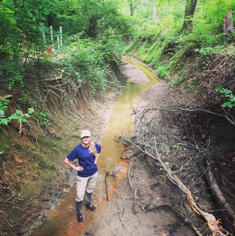 by Kristen Minogue In the forests of Edgewater, Md., a stream called Muddy Creek is sinking. By itself this is hardly news. The Chesapeake’s ailing streams span thousands of miles, and the watershe... Muddy Waters, Chesapeake Bay, Natural Resources, Marine Life, Ecology, Country Roads, Forest, Yard, Water