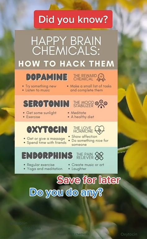 List of brain's chemicals with their effect on body How To Be Smarter Brain Tips, Brain Hacks, Improve Brain Power, Mood Stabilizer, How To Become Smarter, Brain Tricks, Girl Facts, Meditation Quotes, Note To Self Quotes