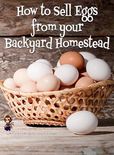 Selling Eggs from your backyard homestead - how to start a small egg business. One of the ways homesteading can make you money. Egg Business, Selling Eggs, Backyard Homestead, Backyard Poultry, Keeping Chickens, Free Range Chickens, Farm Fresh Eggs, Backyard Farming, Chicken House