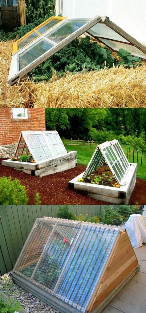 42 Best DIY Greenhouses ( with Great Tutorials and Plans! ) - A Piece of Rainbow Diy Greenhouses, Mini Serre, Cold Frames, Diy Greenhouse Plans, Backyard Greenhouse, Small Greenhouse, Greenhouse Plans, Diy Greenhouse, Garden Greenhouse