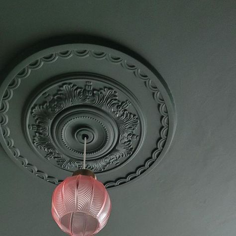 Lick on Instagram: "PSA: Don’t forget about your fifth wall (aka. your ceiling)  Our top tips for your painted ceiling:  1. To create a traditional meets modern feel in older properties that benefit from ornate coving and ceiling roses paint them all in the same colour. If you prefer a more traditional look, leave your ceiling rose neutral.   2. If you don’t want to create a more statement look with a painted ceiling, use the same colour as your walls to colour-drench the room by painting the ceiling, walls and woodwork.  3. If you don’t have a picture rail, use the decorating hack of extending your painted ceiling around 30cm onto your wall. This will add the illusion of a picture rail and add character.   4. Use lighter receding colours like light blue, light green and white with an unde Painted Ceiling Rose, Painted Ceiling Hallway, Ornate Coving, Painting The Ceiling, Traditional Meets Modern, Ceiling Roses, Ceiling Trim, Picture Rail, Front Rooms