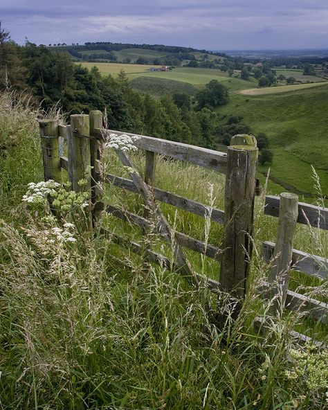 Hiking in the Yorkshire Wolds with your best friend..... Country Fences, Old Fences, Modern Fence, Fence Landscaping, British Countryside, Country Scenes, Fence Gate, Wooden Fence, Foto Art