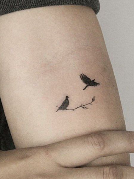 25 Carefree Bird Tattoos for Men in 2022 - The Trend Spotter White Bird Tattoo, Bird Hand Tattoo, White Bird Tattoos, Simple Bird Tattoo, Small Bird Tattoos, Bird Tattoo Men, Tiny Bird Tattoos, Bird Tattoos For Women, Vogel Tattoo