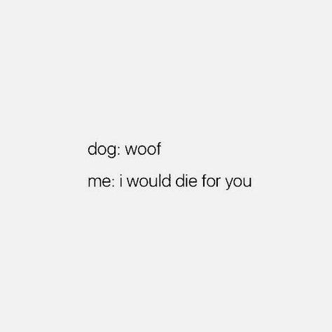 Aesthetic Dog Quotes, Dog Quotes Aesthetic, Dog Person Quotes, Dog Tweets, Cute Dog Quotes, Caption Quotes, Girl Gang, Dog Quotes, Dragon Age