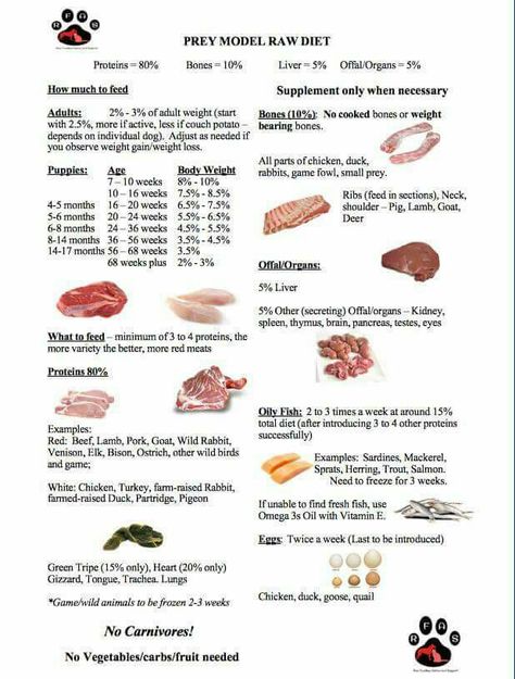 Raw feed guidelines Dog Food List, Dog Diet Plan, Dog Raw Diet, Raw Feeding For Dogs, Diet For Dogs, Raw Dog Food Diet, Puppy Fever, Raw Cat Food Recipes, Homemade Cat Food