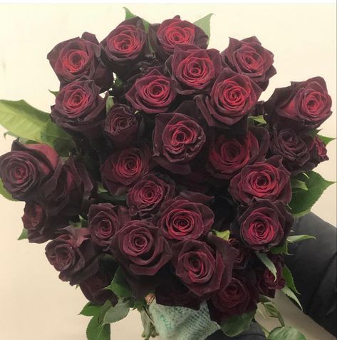 Flowers Bouquet Aesthetic, Black Baccara, Bouquet Aesthetic, Standard Roses, Roses Only, Dark Red Roses, Wholesale Roses, Gothic Garden, Red Rose Bouquet