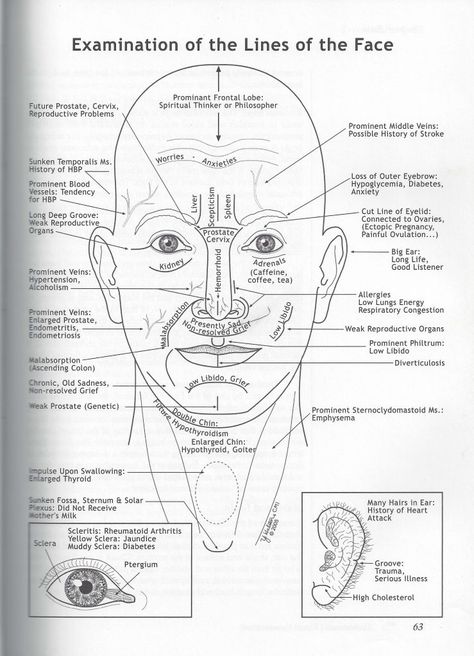 Ayurvedic Facial Diagnosis: What are the Lines on your Face Revealing about your Health? Chinese Face Reading, Face Mapping Acne, Ayurveda Lifestyle, Point Acupuncture, Facial Nerve, Ayurveda Yoga, Ayurvedic Healing, Face Mapping, Face Reading