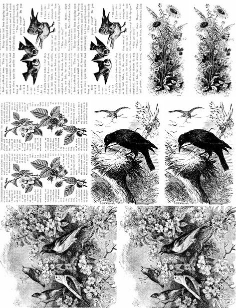 Imagesbykim: Free Bee Friday! - Digital Collage Sheet - Black and white vintage book pages birds flowers Vintage Printables Black And White, Scrapbook Printables Black And White, Black And White Printables Free, Phomemo Printables Black And White, Journal Printables Stickers Aesthetic Black And White, Aesthetic Stickers Printable Vintage Black And White, Scrapbook Stickers Printable Black And White, Black And White Ephemera Free Printables, Scrapbook Stickers Printable Black