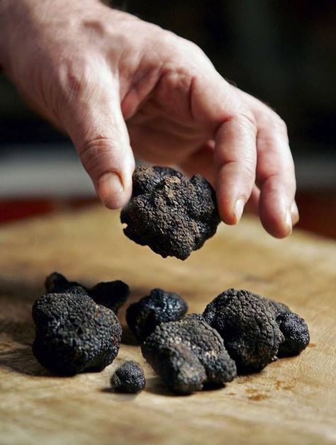 How To Make Truffles, Green Grocer, Truffle Mushroom, Truffle Hunting, Truffle Butter, Truffle Recipe, Black Truffle, Snacks Für Party, Provence France