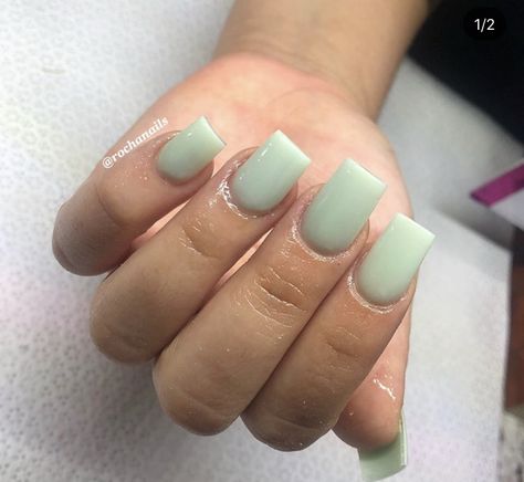 Solid Color Nail Sets, Sage Green Short Square Nails, Nail Ideas Light Green, Light Color Nail Ideas, Sage Green Short Nails, Short Green Nails Acrylic, Greenish Nails, Short Acrylic Nails Green, Light Green Nails Acrylic