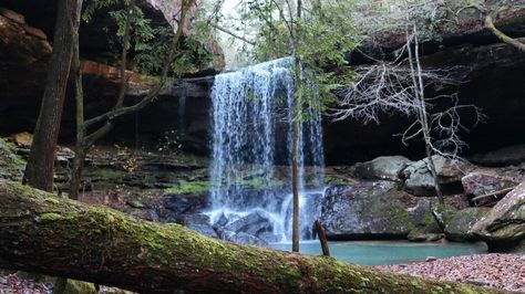 The Best Family-Friendly Hiking Trails in Every Southern State Smith Lake Alabama, Patapsco Valley State Park, Ozark National Forest, Amicalola Falls, Laurel Falls, Cascade Falls, Waterfall Trail, Pisgah National Forest, Red River Gorge