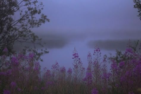 Midsummer Nights Dream Aesthetic, Twin Paranormal, All The Bright Places, Mazzy Star, Season Of The Witch, Midsummer Nights Dream, Purple Aesthetic, Nature Aesthetic, Pretty Places