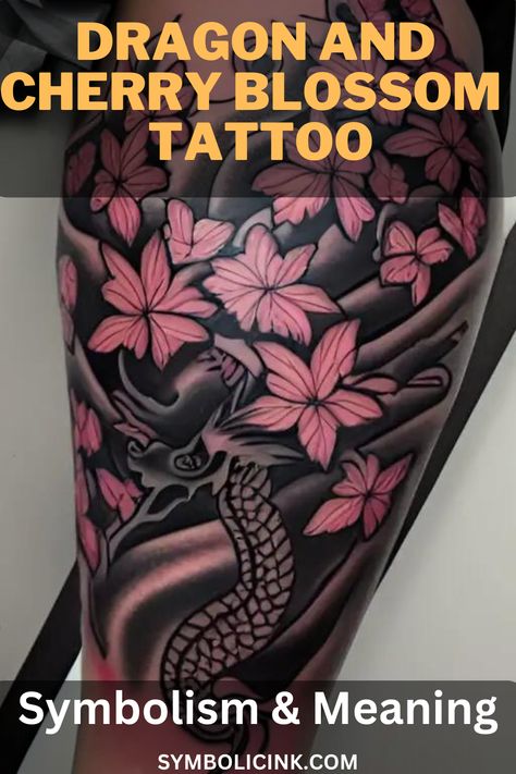 Dragon and Cherry Blossom Tattoo Meaning Dragon Tattoo Designs For Women Cherry Blossoms, Dragon Tattoo With Cherry Blossoms, Dragon Cherry Blossom Tattoo, Black Cherry Blossom Tattoo, Dragon And Cherry Blossom Tattoo, Cherry Blossom Tattoo Men, Pieces Zodiac Tattoo, Dragon Tattoo With Flowers, Japanese Cherry Blossom Tattoo