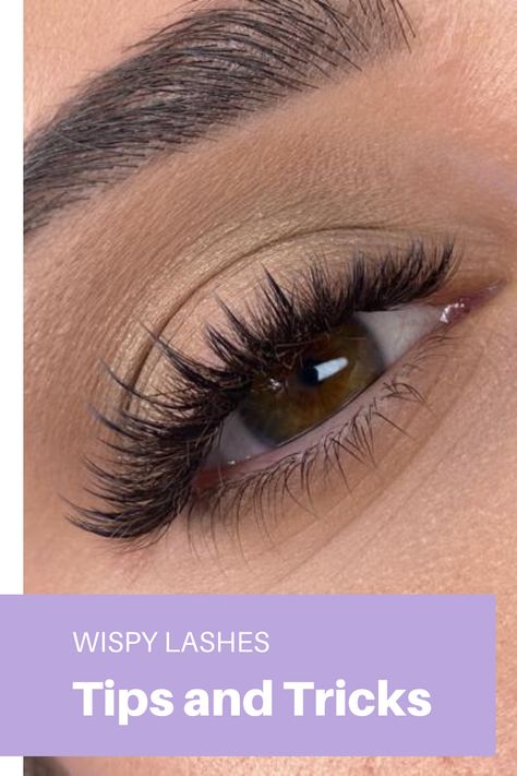 Lashes Tips, Lash Lengths, Lash Fan, Winged Lashes, Wispy Volume, Lash Tips, Natural Fake Eyelashes, Lash Extentions, Lashes Fake Eyelashes