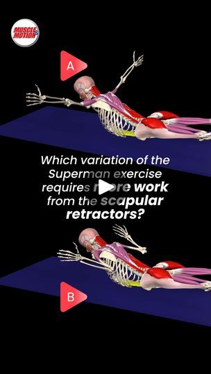 60K views · 479 reactions | Superman Hold Variations: T vs. W 🔥

Today, let's dive into a little biomechanics challenge! Which variation of the Superman exercise requires more work from the scapular retractors?

🅰️  Superman hold (T variation)
🅱️  Superman hold (W variation) 

The answer is……..

🅰️ Superman hold (T variation). Let’s explore why:

The T variation requires your arms to be extended straight out, increasing the leverage and thus demanding more from your scapular retractors. In contrast, the W variation involves a shorter lever, reducing the load on these muscles.

Interested in deepening your understanding of how exercise variations can optimize your workout? 
Discover more on the Muscle and Motion STRENGTH TRAINING APP, link in bio!

#Biomechanics #SupermanHold #MuscleAnd Superman Workout, Strength Training, Diving, Superman, Motion, Hold On, Let It Be