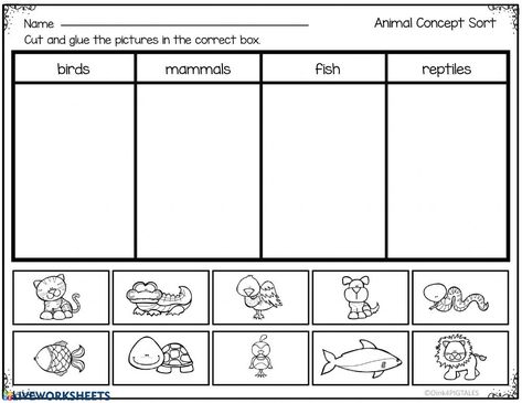 Types Of Animals Worksheet, Vertebrates And Invertebrates Worksheets, Animal Classification For Kids, Zoo Worksheets, Mammals Worksheet, Animals Classification, Animal Classification Activity, Animal Classification Worksheet, Mammals Activities