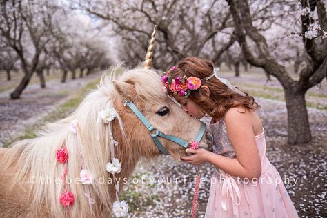 Unicorn Horn for Horse, Unicorn Horn Horse, Variety of Sizes Colors Realistic Hard Unicorn Horn for Pony Donkey Horse, Large Horn, Pony Horn Unicorn Horn For Horse, Bows Hair, Pet Bows, Unicorn Horn, Chester, Horn, Hair Accessories, Pet, Hair