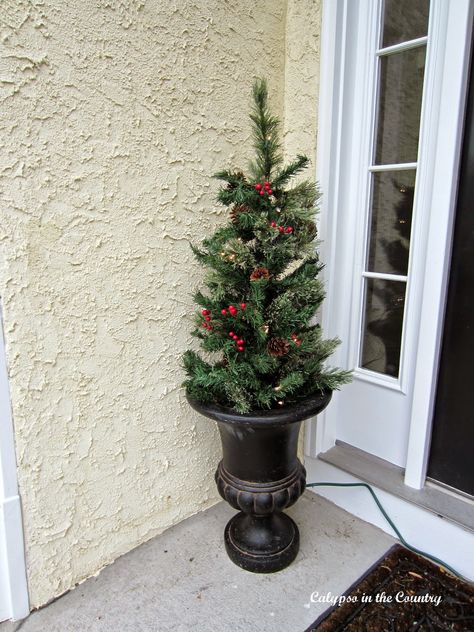 Christmas Tree in urn on front porch Country Christmas Front Porch, Porch Decor For Christmas, Simple Front Porch Decor, Diy Christmas Urns, Christmas Tree In Urn, Porch Christmas Tree, Simple Front Porch, Christmas Tree Outside, Diy Christmas Door Decorations