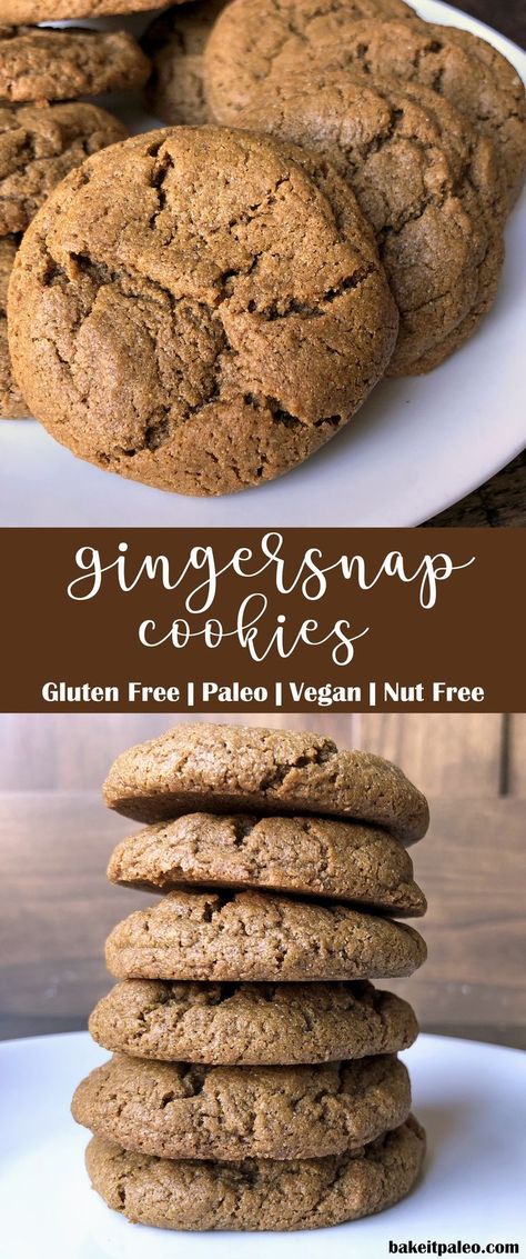 Gingersnap Cookies | These Paleo, Vegan and allergy free cookies are made with tahini and cassava flour. They have a bold gingerbread flavor and perfectly crisp texture. #gingersnap #paleocookies #vegancookies #allergyfree #nutfree #dairyfree #glutenfree #gingerbread Cassava Flour Gingerbread Cookies, Cassava Vegan Recipes, Casava Flour Cookies, Cassava Flour Baking, Cassava Flour Cookies Paleo, Cassava Flour Christmas Cookies, Paleo Cassava Flour Recipes, Cassava Flour Recipes Desserts, Paleo Vegan Cookies