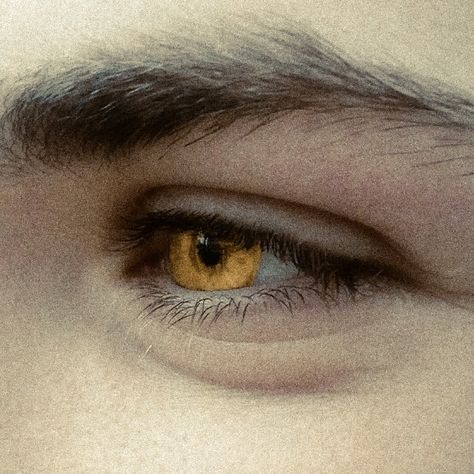 Vampire Eyes, Demon Eyes, Golden Eyes, Gray Eyes, Aesthetic Eyes, Gold Eyes, Fantasy Aesthetic, Yellow Eyes, Camp Half Blood