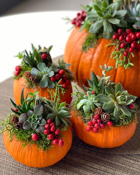 Inspiration Flowers | Happy Thanksgiving!🍁 #pumpkinsucculent #pumpkinarrangements #pumpkin | Instagram Pumkin Decoration, Succulent Pumpkin, Fall Pumpkin Centerpieces, No Carve Pumpkin Decorating, Pumpkin Planter, Pumpkin Vase, Fall Pumpkin Decor, Easy Fall Decor, Thanksgiving Decorations Diy