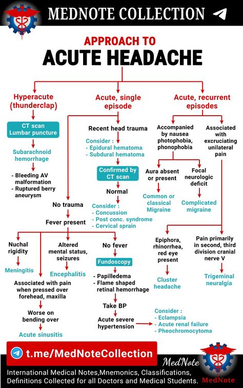 Medical Student Study, Blood Sugar Diet, Medical School Studying, Nursing School Notes, Medical School Essentials, Health And Fitness Magazine, Healthy Diet Tips, Daily Health Tips, Medical Knowledge