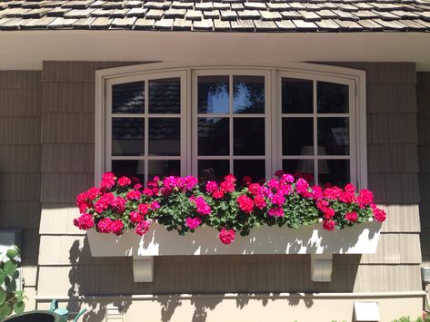 window boxes Outside Window Planter Boxes, Standing Window Boxes, Window Sill Flower Boxes, Outdoor Window Planter Boxes, Balcony Flowers Box Planters, Full Sun Window Boxes, Window Boxes On Vinyl Siding, Shade Window Boxes, Window Box Flower Ideas