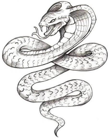 21 Realistic Snake Tattoo Drawing Ideas | PetPress Tattoo Designs Drawings, Cobra Tattoo, Snake Drawing, Snake Art, Snake Tattoo, A Snake, Snakes, Animal Drawings, Tattoo Design