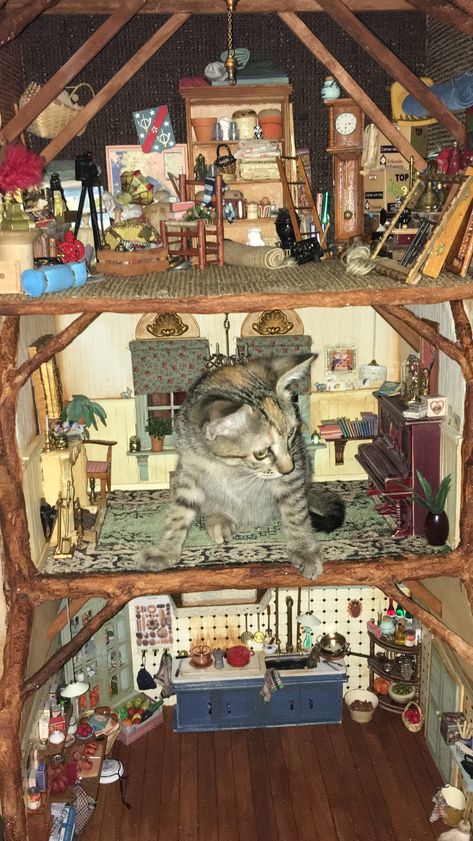 Bug Diorama, Cat Dollhouse, Tiny Worlds, Mini Room, Room Box Miniatures, Diy Doll House, Cottagecore Art, Paper Dolls Diy, Mini Doll House