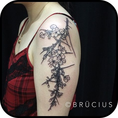 “#BRÜCIUS #TATTOO #SF #SanFrancisco #brucius #engraving #etching #sculptoroflines #dotwork #blackwork #pen #ink #linespecialist #Blackthorn #floral” Sf Tattoo, Blackthorn Tree, Anatomical Illustration, Watch Tattoo Design, Watch Tattoos, Floral Tattoo Design, Botanical Tattoo, Tattoo Project, Top Tattoos