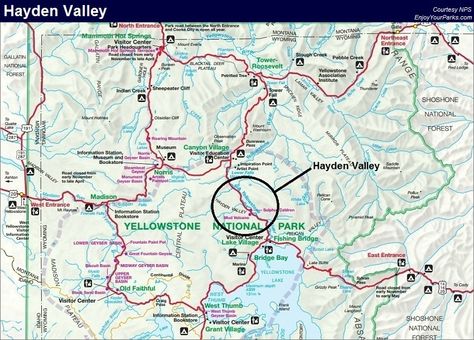 A map of Hayden Valley in Yellowstone National Park. Yellowstone Map, Yellowstone National Park Vacation, Wyoming Vacation, Yellowstone Vacation, Lamar Valley, National Park Map, Yellowstone Camping, Yellowstone Trip, Lake Village