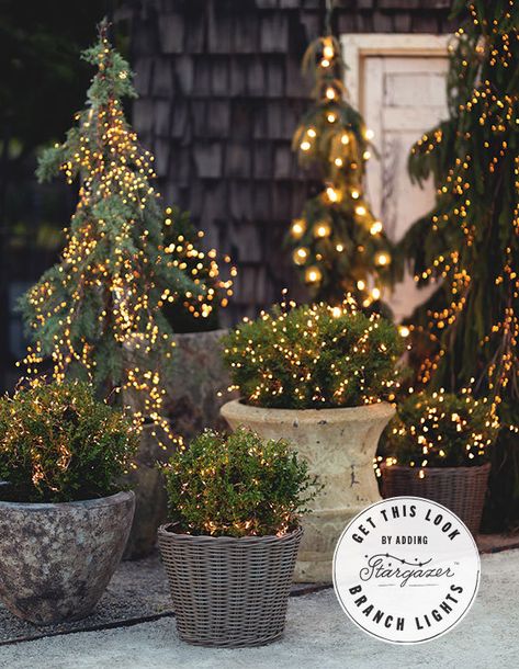 Christmas Planters, Christmas Front Porch, Christmas Inspo, Christmas Garden, Outdoor Christmas Lights, Christmas Porch, Noel Christmas, Holiday Inspiration, Ideas Christmas