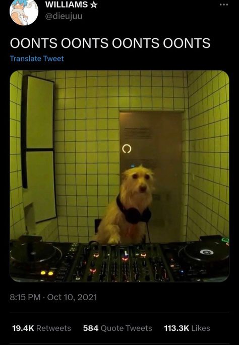 February 10, A Dog, Dj, On Instagram, Instagram