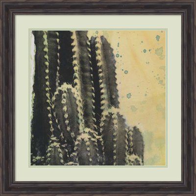 Brayden Studio Desert Dreams IV (Cactus) Framed Graphic Art Photo Gallery Wall, Gallery Wall Frame Set, Photo Wall Gallery, Desert Dream, Green Cactus, Gallery Wall Frames, Wall Frame, Creative Hobbies, Acrylic Tray