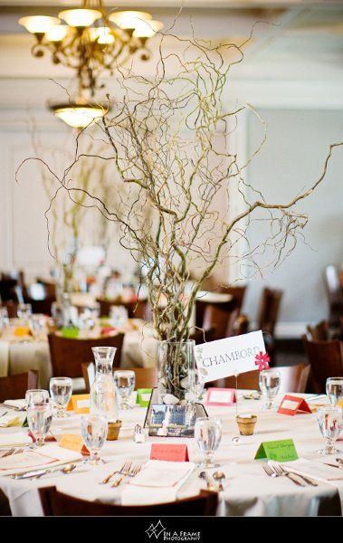 Tammy and Andy Wedding Reception Photos on WeddingWire Willow Branch Centerpiece, Wedding Emergency Kit, Ideas For Wedding Reception, Branch Centerpieces, Big Backyard, Reception Photos, Man And Wife, Indoor Reception, Reception Inspiration