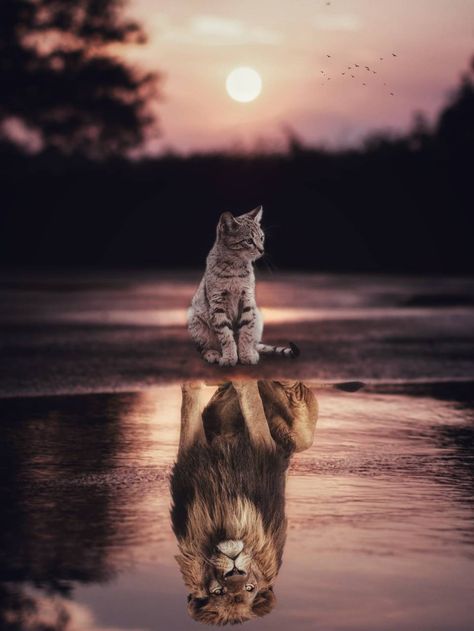 Cats are lions wallpaper by Genz_Artist - 54 - Free on ZEDGE™ Animal Canvas Paintings, Lion Wallpaper, Animale Rare, Memes Humor, Cute Wild Animals, Gen Z, Cat Wallpaper, Wall Art Pictures, Posters And Prints