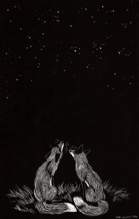 Scratchboard Art, Scratch Art, Fox Art, Wow Art, Printmaking, At Night, Animal Art, Beautiful Art, Cool Art