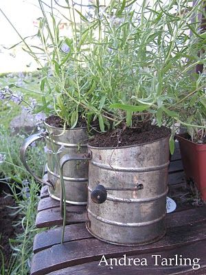 Flour sifters Herb Containers, Flour Sifter, Flea Market Style, Garden Junk, Garden Containers, Unique Gardens, Country Gardening, Back To Nature, Container Plants