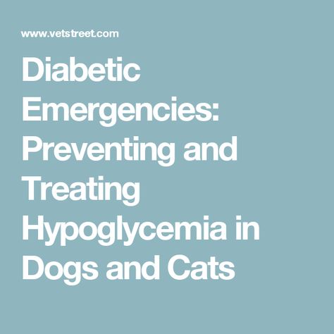 Diabetic Emergencies: Preventing and Treating Hypoglycemia in Dogs and Cats Functional Neurological Disorder, Conversion Disorder, Rare Disorders, Low Blood Sugar, Neurological Disorders, Rare Disease, Cats And Dogs, Dog Training Tips, Dogs And Cats