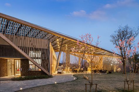 New Pastoralism Lecture Hall,© BenMo Studio / Ming Yan Chinese Buildings, Lecture Hall, Lecture Theatre, Timber Architecture, Concept Models Architecture, Healthcare Architecture, Bamboo Structure, Bamboo Architecture, Lectures Hall