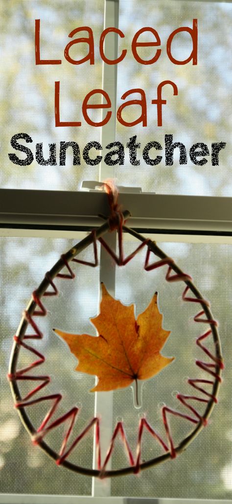 Laced Leaf Suncatcher: Such a beautiful natural craft and display for preschoolers to make! Leaf Suncatchers, Leaf Suncatcher, Craft For Toddlers, Waldorf Crafts, Turkey Crafts, Fall Preschool, Dinosaur Crafts, I Love Fall, Ideas Craft