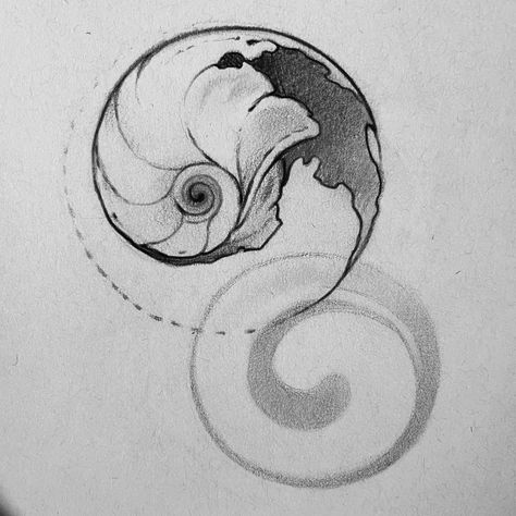 Shell Nautalis Shell Tattoo, Snail Shell Tattoo, Nautilus Shell Tattoo, Ammonite Tattoo, Shell Tattoo, Shell Tattoos, Shiva Eye, Nautilus Shell, Snail Shell