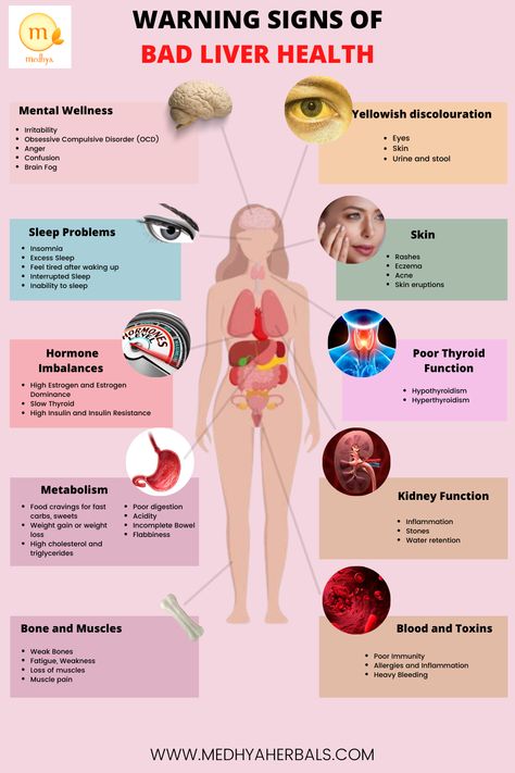 Liver affects more than 500 functions in the body like your weight, skin health, metabolism, cholesterol and hormone balance. Learn here warning signs that your liver is unhealthy or may have been damaged by poor choices of diet and lifestyle. Go to post to learn about best liver healthy foods to start healing. Liver Healthy Foods, Healthy Liver Diet, Bad Acne, Liver Diet, Liver Failure, Liver Detox, Healthy Liver, Ayurvedic Herbs, Liver Health